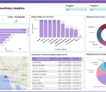 power bi non profit dashboard vnb consulting 1