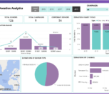 power bi non profit dashboard vnb consulting 4
