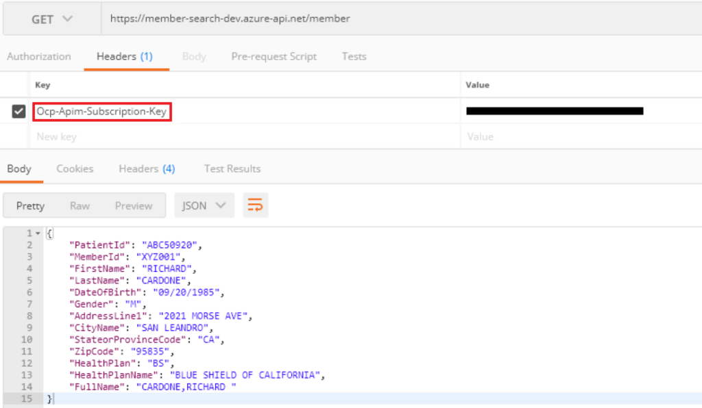mock api response